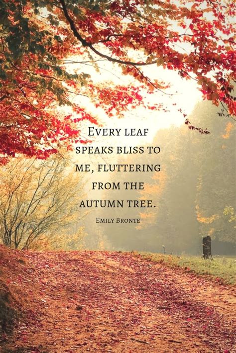 saying for fall